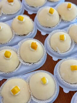 Snow Mochi
